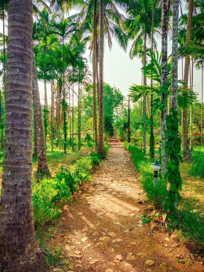 Molem Nature'S Nest Eco Resort Goa, Near Dudhsagar Waterfalls מראה חיצוני תמונה