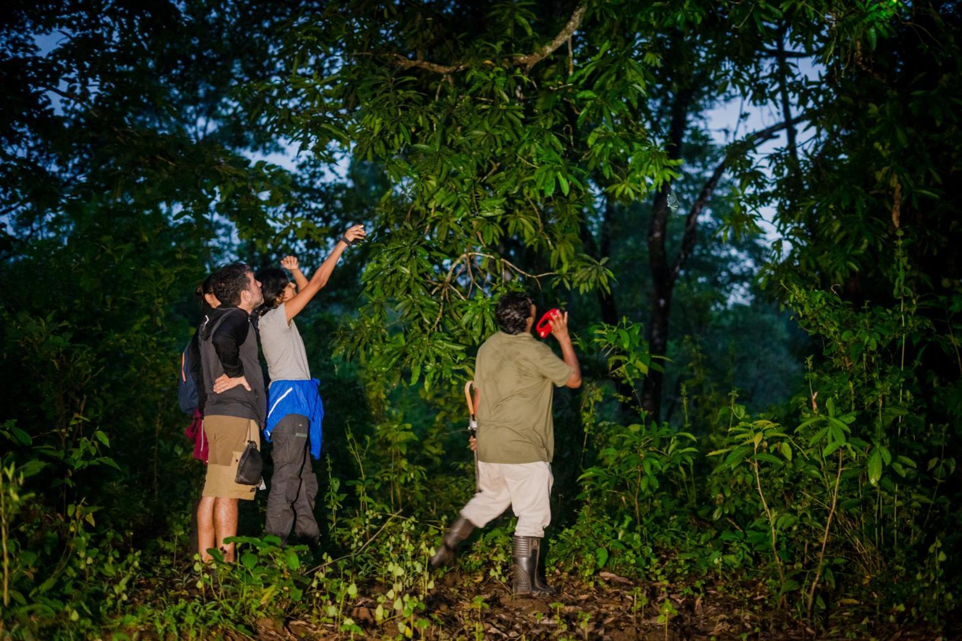 Molem Nature'S Nest Eco Resort Goa, Near Dudhsagar Waterfalls מראה חיצוני תמונה