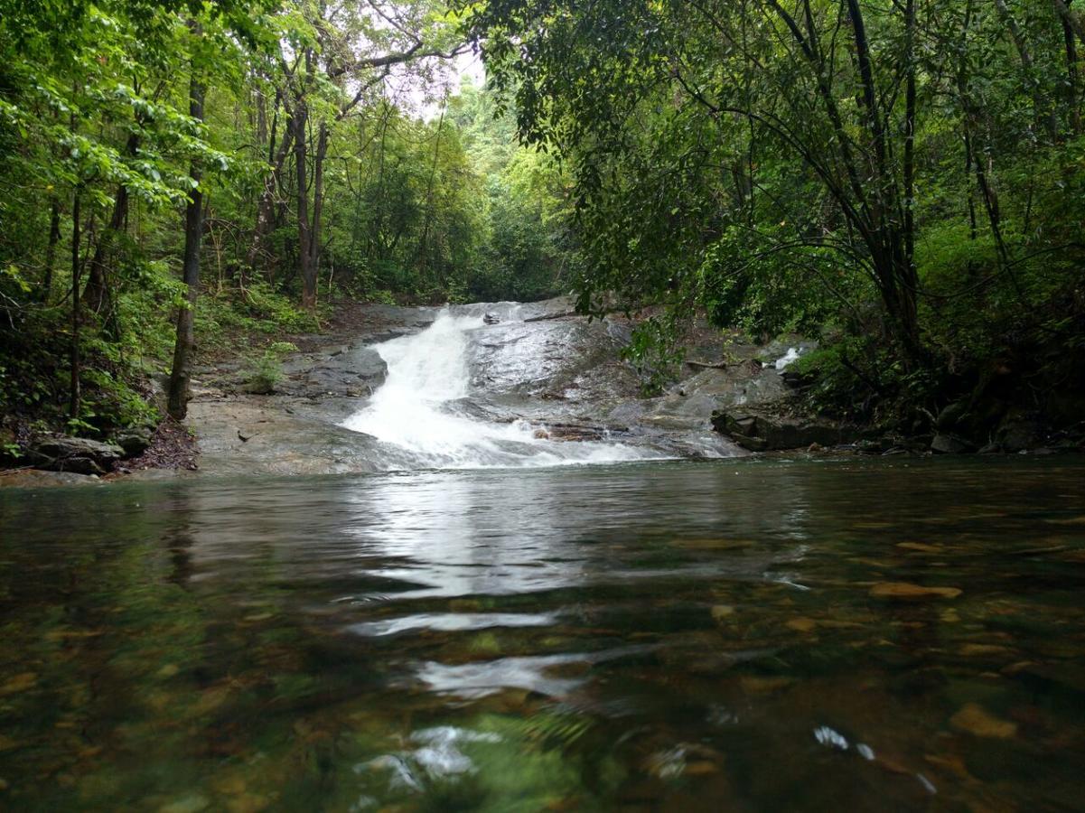 Molem Nature'S Nest Eco Resort Goa, Near Dudhsagar Waterfalls מראה חיצוני תמונה